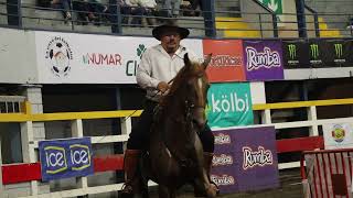 Hermosos Caballos Bailadores Palmares Costa Rica Dancing horses Dressage Competition part 3 [upl. by Kesia]