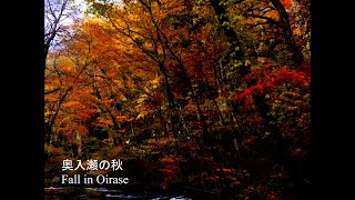 奥入瀬の秋 quotFall in Oirasequot Official Visualizer [upl. by Cirdor148]