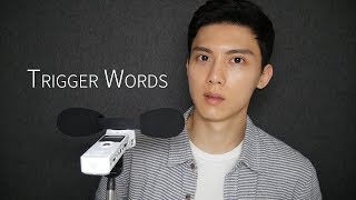 Sub Korean ASMR Tingly Trigger Words sksk tktk etc Ear to Ear Whispering 팅글 추천 단어반복 [upl. by Paula]