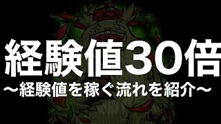 【経験値30倍〜書庫編〜】経験値の稼ぎ方やおすすめクエストと編成紹介【モンスト】 [upl. by Myers]