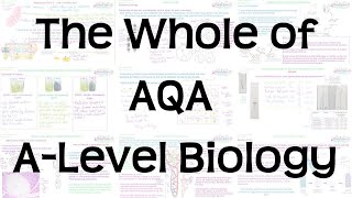 The Whole of AQA ALevel Biology  Exam Revision for Papers 1 2 and 3 [upl. by Ylevol536]