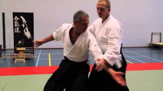 3 Countries Seminar  German Sensei 5th Dan Stefan Leiendecker [upl. by Maclean]