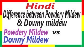 Difference between Powdery mildew and Downy mildew  Powdery mildew vs Downy mildew  DB 8 [upl. by Novahs162]