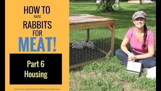 Raising Rabbits for Meat Part 6 Rabbit Housing [upl. by Yelnik]