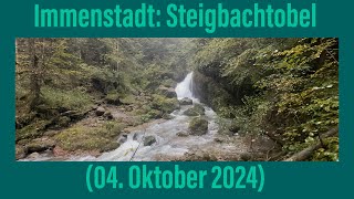 Immenstadt Steigbachtobel 04 Oktober 2024 [upl. by Latoniah]