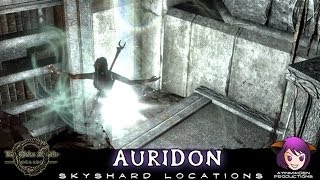 Elder Scrolls Online  Skyshards  Auridon [upl. by Cele836]