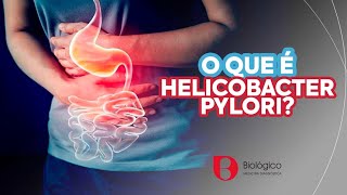 O que é Helicobacter pylori  Biológico Medicina Diagnóstica [upl. by Yssep937]