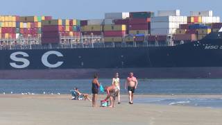 Tybee Island North Beach Ship Watching [upl. by Dnomse]