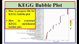 Kegg pathway bubble plot kegg pathway analysis genomewidestudy [upl. by Elda]