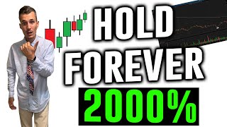 Top 3 Penny Stocks to Buy and Hold FOREVER  2000 [upl. by Dreda]