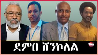 Tigray Media Network ሻዕብያ ብብረታዊ ቃልሲ አይእለንደምበ ሸንኮለል Apr 4 2024 [upl. by Clarissa782]