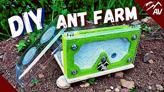 How to make a Formicarium  DIY Ant Farm for Pet Ant Colony [upl. by Georgeta]