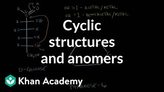 Carbohydrates  cyclic structures and anomers  Chemical processes  MCAT  Khan Academy [upl. by Kcirdef]