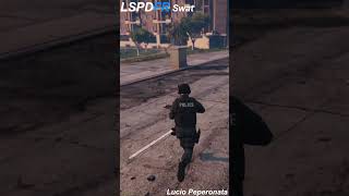 lspdfr Swat Team [upl. by Eesyak]