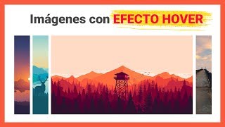 ¡GUAOO 😲 Imágenes con EFECTO HOVER con puro CSS  MagtimusPro [upl. by Lauralee892]