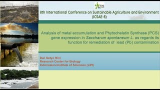 ICSAE8 ID 177 Analysis of Metal Accumulation and Phytochelatin Synthase PCS Gene Expression [upl. by Nodmac]