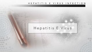 Hepatitis E CDC Viral Hepatitis Serology Training [upl. by Erastatus752]