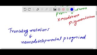 The condition known as xeroderma pigmentosum XP arises from mutations in at least seven different… [upl. by Yeliah984]