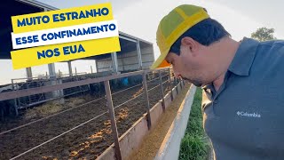 Um confinamento estranho nos EUA Fiquei sem entender [upl. by Ahter547]