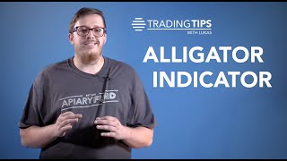 Alligator Indicator Explained [upl. by Yzzik341]