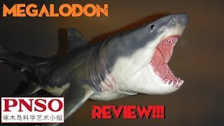 2019 PNSO Megalodon Review [upl. by Hcirdla971]