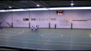 celebracion gol perla futbol sala [upl. by Fitting938]