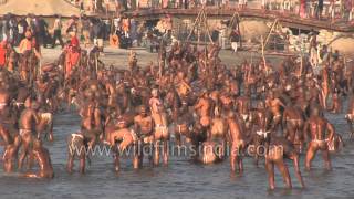 Best of Allahabad Kumbh mela  Worlds largest religious gathering [upl. by Etsirk]