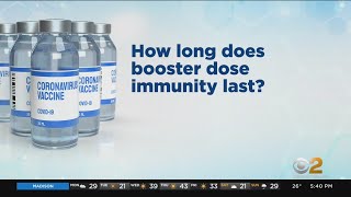 How Long Does Immunity From COVID Booster Shot Last [upl. by Schaumberger]