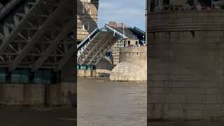 tower bridge London shortsfeed travel placestovisit shorts [upl. by Kariv899]