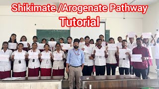 ShikimateArogenate pathway  Pharmacognosy tutorial youtubevideo youtube college students [upl. by Natelson136]