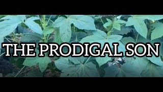 The Prodigal Son Short Film [upl. by Anrapa790]