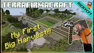 My First Big Harvest  Terrafirmacraft [upl. by Yrrehc]