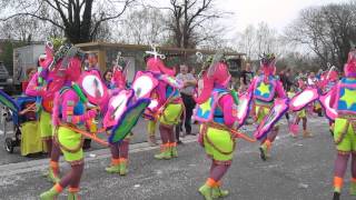 Carnaval Halle 2014  De Gebeure [upl. by Eelnayr419]