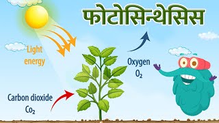 फोटोसिन्थेसिस  प्रकाश संश्लेषण  Photosynthesis In Hindi  DrBinocs Show  Binocs Ki Duniya [upl. by Aicirtan]