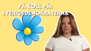 Allt du vill veta om Sverigedemokraterna inför valet 2022 [upl. by Nosimaj828]