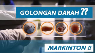 ZOOM IN Golongan Darah [upl. by Nimrac]