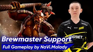 Malady BREWMASTER SUPPORT 5 Pos  Dota 2 735c Pro Gameplay [upl. by Arbmik479]