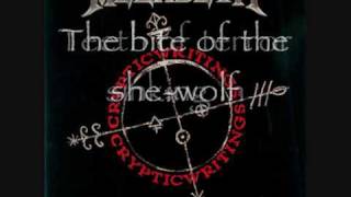 She Wolf Megadeth Subtitle Lyrics [upl. by Arraic]