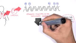 DNA methylation biomarkers  Garvan Institute [upl. by Boothe624]