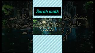 Jo allah se darte haishortsfeed quranyoutubeshorts ytshort [upl. by Ylekalb]