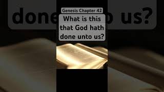 BibleGenesis Chapter 42 What is this that God hath done unto us Genesis bibleverses [upl. by Batty]