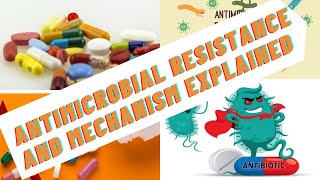 Antimicrobial Resistant Gene Analysis [upl. by Gulgee427]