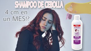 SHAMPOO DE CEBOLLA 🧅 BABARIA 🧝🏽‍♀️ 4 CENTIMETROS EN UN MES SAV [upl. by Eikcir477]