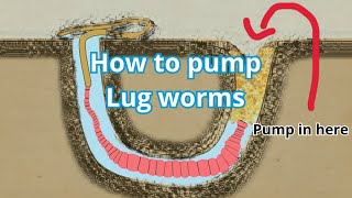 HOW TO PUMP LUGWORM IN 2 MINUTES  SEA FISHING 2023 howtouseabaitpump bait lugworm baitpump [upl. by Aical7]