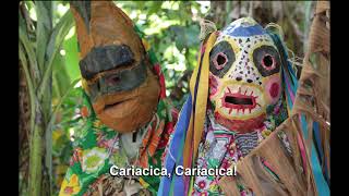 Hino Oficial de Cariacica  Cantado pelos alunos da Rede Municipal de Ensino [upl. by Pettiford]