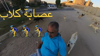 ١٥ كلب 🚴‍♂️😭🚴‍♂️😭 [upl. by Rodriguez]