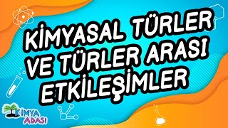 C1  KİMYASAL TÜRLER VE TÜRLER ARASI ETKİLEŞİMLER [upl. by Anerec]