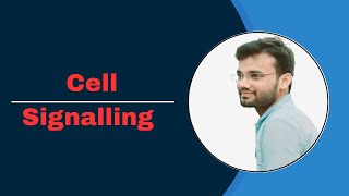 Call Signalling Bsc biology [upl. by Anilok]