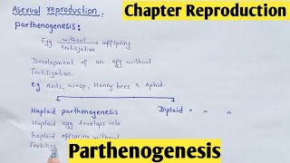 Parthenogenesis  Haploid Parthenogenesis  Diploid Parthenogenesis  Class 12 In Hindi Urdu [upl. by Naenej357]