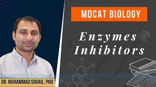 Enzymes Inhibitor and their Types  Uncompetitive Inhibitors [upl. by Heather]